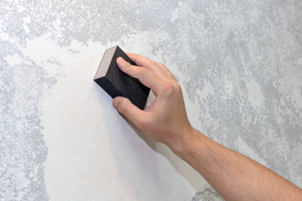 Best Forensic Mold Investigation  in Killen, AL
