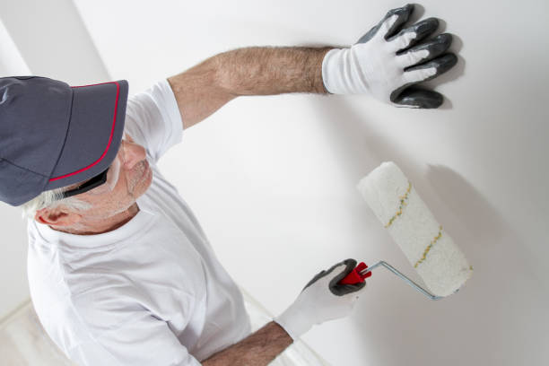 Best Basement Mold Removal  in Killen, AL