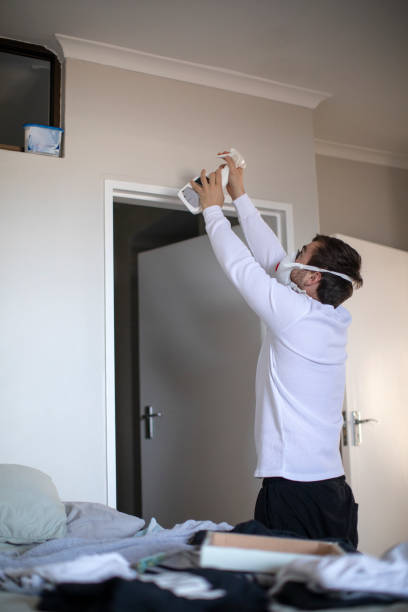Best Emergency Mold Remediation  in Killen, AL