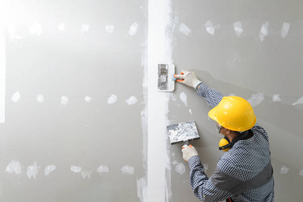 Best Comprehensive Air Testing for Mold Contaminants  in Killen, AL