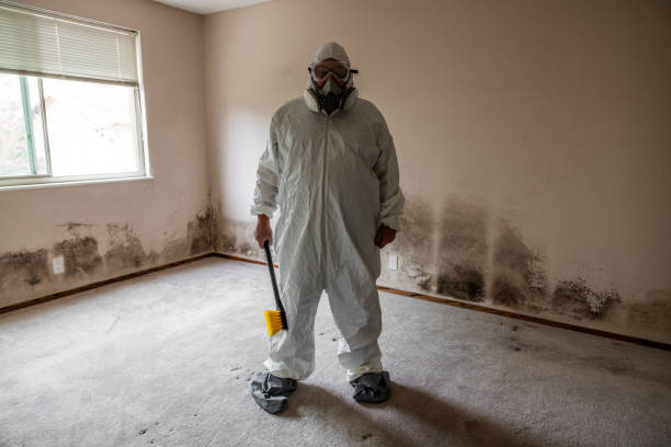 Best HVAC Mold Inspection and Cleaning  in Killen, AL