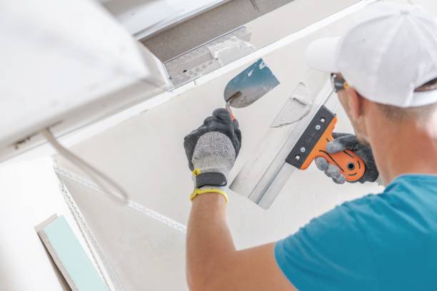Best Water Damage & Mold Remediation  in Killen, AL